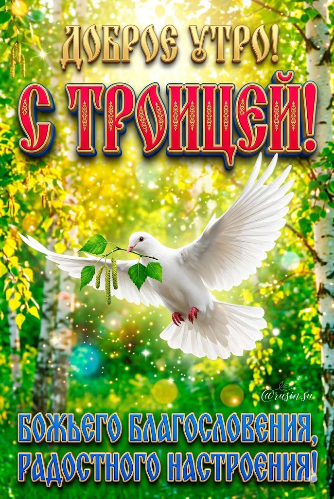 Красивая открытка «С Троицей!» с белым голубем, веткой березы и пожеланием Божьего благословения.
